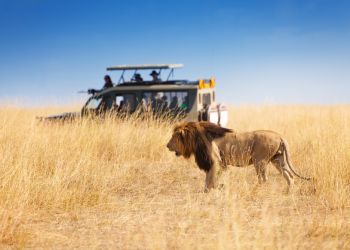 Easter Safari Cruises for Retired Pensioners