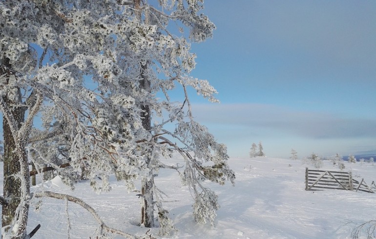 Best Winter Holiday Spots Around the World