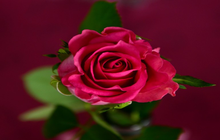Unusual ways to spend Valentine's Day in London
