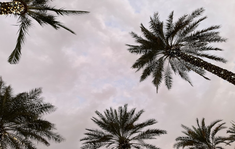 Dubai Weather Forecast: United Arab Emirates