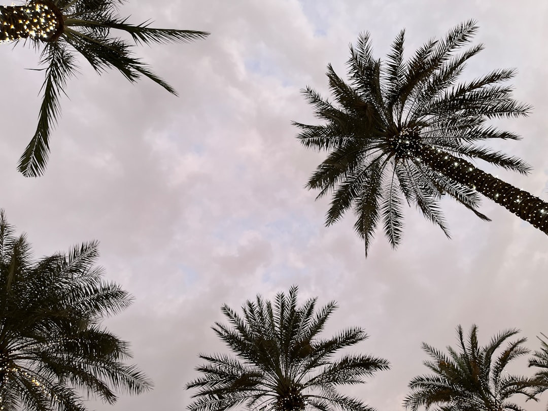 Dubai Weather Forecast: United Arab Emirates