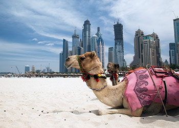 5 Dream Holidays: Take a Trip on the Unconventional Side